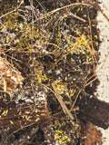 Gele springstaarten +150 stuks in bakje!