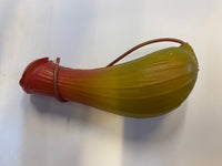 Nep Nepenthes